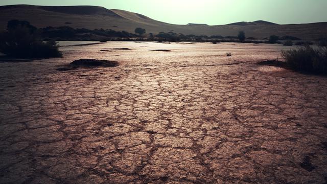Avec le changement climatique causé par les activités humaines, la fréquence des "sécheresses éclair" s'est accélérée ces dernières années. [Depositphotos - kamchatka]
