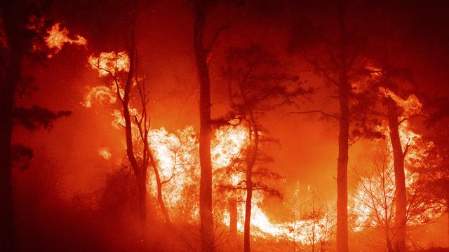 Les plus grands producteurs mondiaux d'énergies fossiles sont responsables de plus du tiers des feux de forêt depuis 40 ans dans l'ouest de l'Amérique du Nord. [Keystone - New Jersey Department of Environmental Protection via AP]