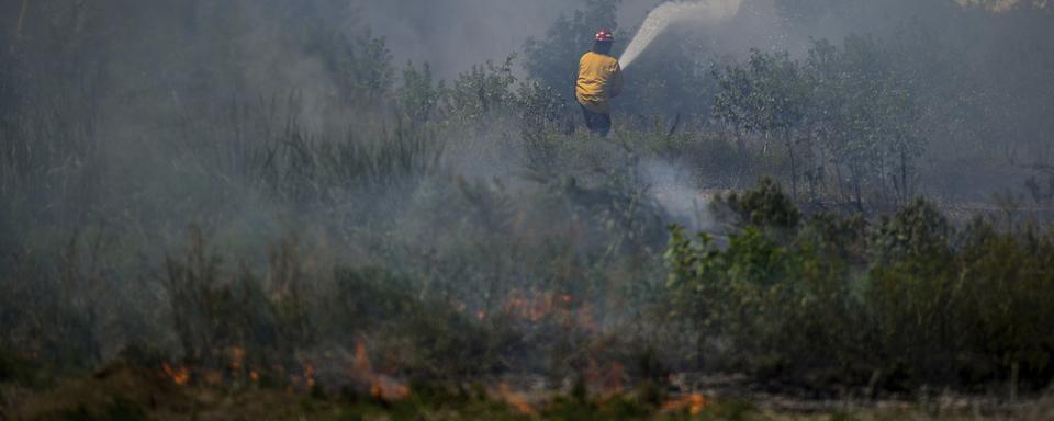 Un pompier éteint un feu de prairie dans la province de Colombie-Britannique, Canada. [Keystone/The Canadian Presse via AP - Darryl Dyck]