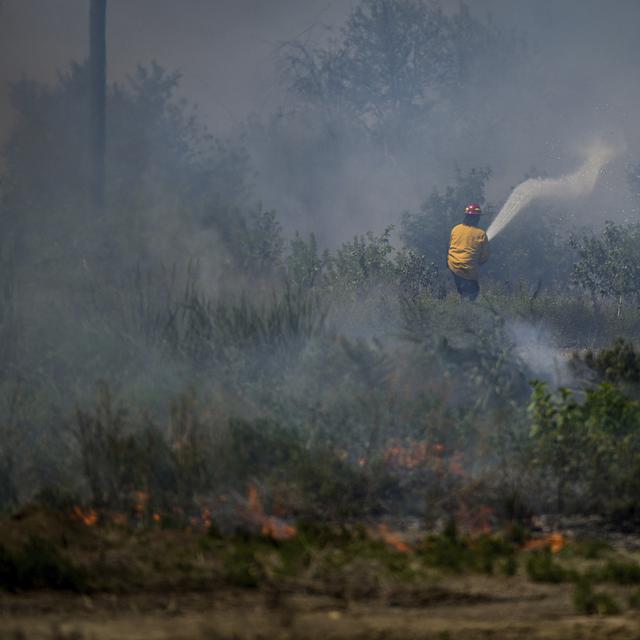 Un pompier éteint un feu de prairie dans la province de Colombie-Britannique, Canada. [Keystone/The Canadian Presse via AP - Darryl Dyck]