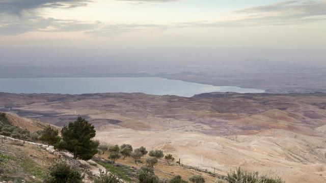 Un projet en Jordanie permet d'utiliser l'eau de mer pour arroser des plantes. [AFP - Antoine Boureau / Hans Lucas.]