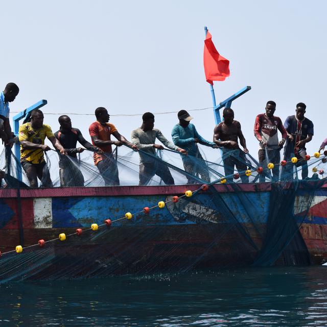 Les pêcheurs traditionnels remontent à la force des bras une senne tournante artisanale. Le drapeau rouge à l'arrière du bateau indique le deuil de l'équipage après le décès d'un membre de la communauté. [RTS - François Hume]