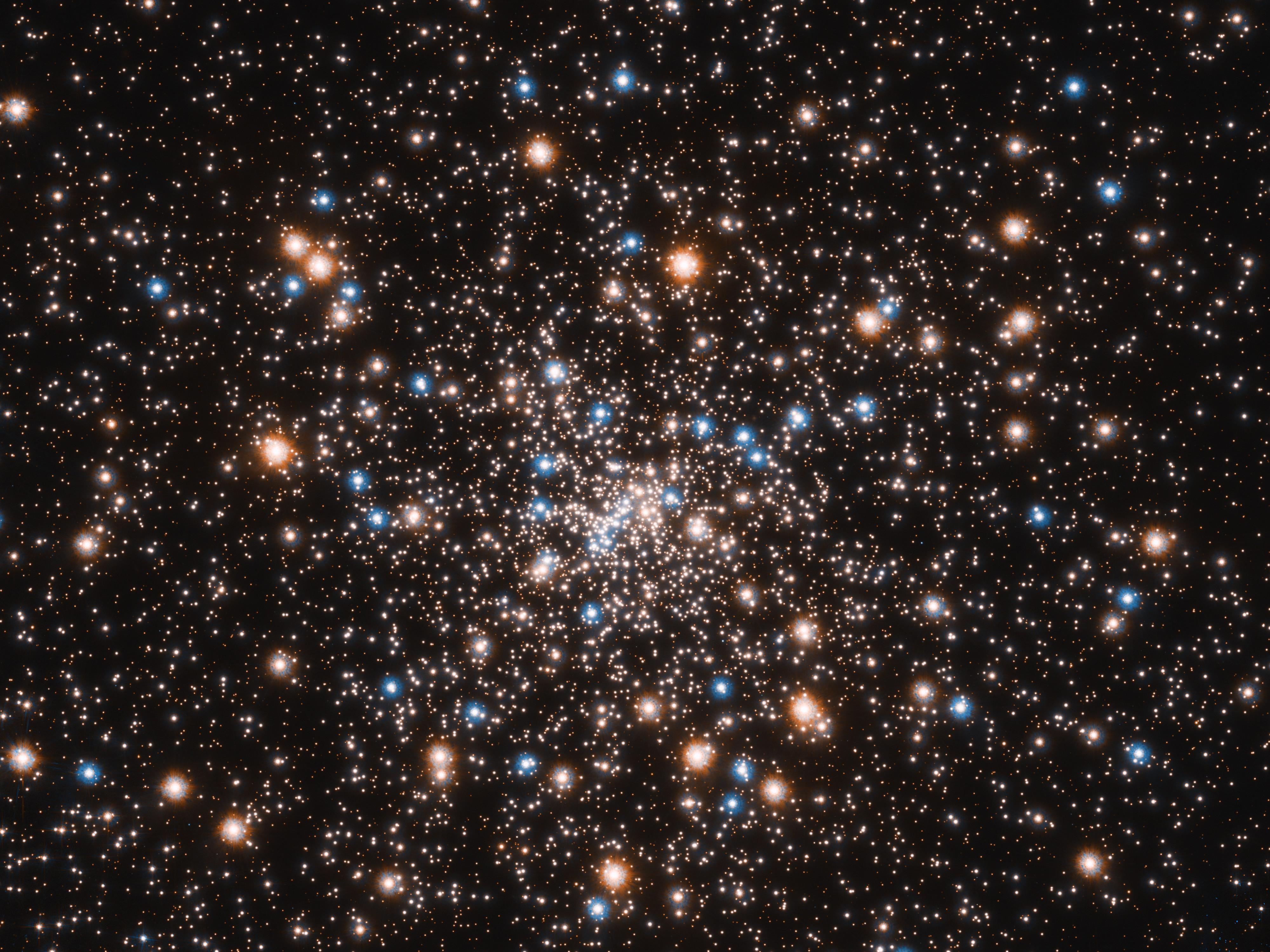 Les centaines de milliers d'étoiles du noyau de l'amas globulaire NGC 6397: les bleues sont en fin de vie, ayant épuisé l'hydrogène qui les fait briller. Elles convertissent leur hélium en énergie dans leur noyau: il fusionne à une température plus élevée apparaissant en bleu. La lueur rougeâtre provient de géantes rouges qui ont consommé leur hydrogène et ont grossi. La myriade de petits objets blancs comprend des étoiles comme notre Soleil. Image Hubble, février 2021. [NASA/ESA - T. Brown, S. Casertano, J. Anderson (STScI)]