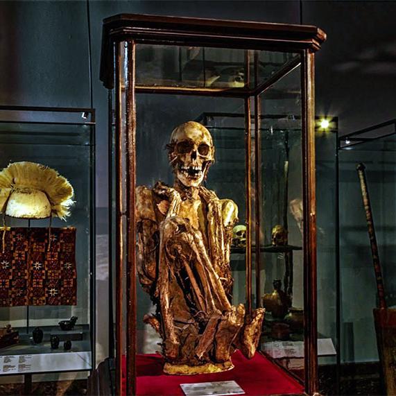 Durant les années 1930, à Bruxelles, Hergé est voisin du Musée du cinquantenaire (devenu depuis le Musée Art et Histoire) qu'il visite régulièrement. C'est ainsi qu'il fait la connaissance d'une des momies péruviennes que possède le musée. Hergé utilisera sa posture accroupie et sa peau parcheminée comme inspiration pour créer la momie de Rascar Capac, "celui-qui-déchaîne-le-feu-du-ciel". [Panoramique Terre Productions - Xavier Ramband]