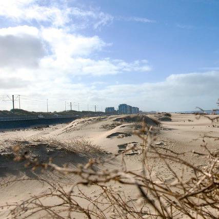 Ostende, février 2023: la réhabilitation de dunes naturelles. [RTS - Lucile Solari]