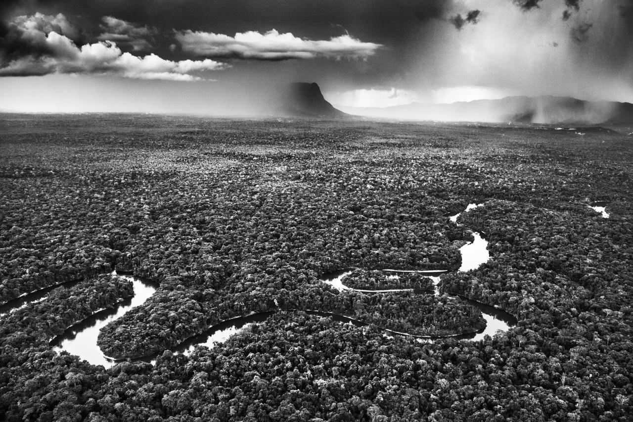 Rio Jutaí, Etat d'Amazonas, Brésil, 2017, une photographie de Sebastião Salgado à découvrir dans le cadre de l'exposition "Amazônia". [Sebastião Salgado]