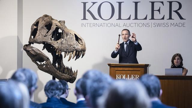 Le squelette d'un T-Rex a été vendu aux enchères à 4,8 millions de francs [KEYSTONE - MICHAEL BUHOLZER]