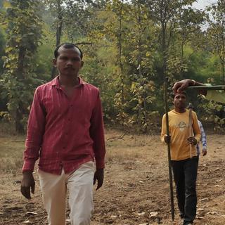 Dans la forêt qui borde le village de Rahu, les villageois reviennent d’une inspection et coupe de la plantation de bambous qu’ils entretiennent. [RTS - Sébastien Farcis]