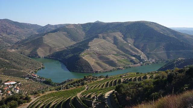 Vue de la vallée du Douro au Portugal. [Creative Commons - Valenite]