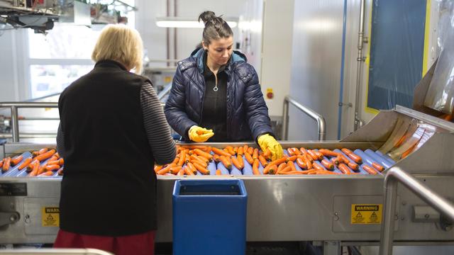 Nouvelles normes de qualité des légumes pour éviter le gaspillage alimentaire [KEYSTONE - Gaetan Bally]