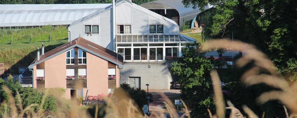 La ferme du Taulard à Romanel-sur-Lausanne. [DR/Ferme du Taulard - Olivier]