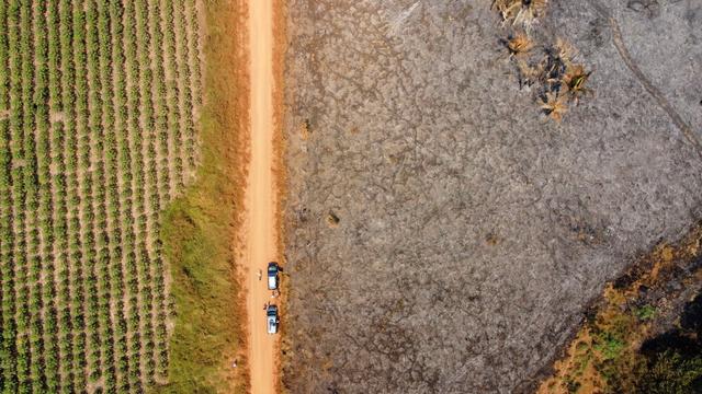 Un champ à côté d'une forêt réduite en cendres dans la région péruvienne de la forêt amazonienne (image d'illustration). [Keystone/EPA - Renzo Ramirez Santa Cruz]