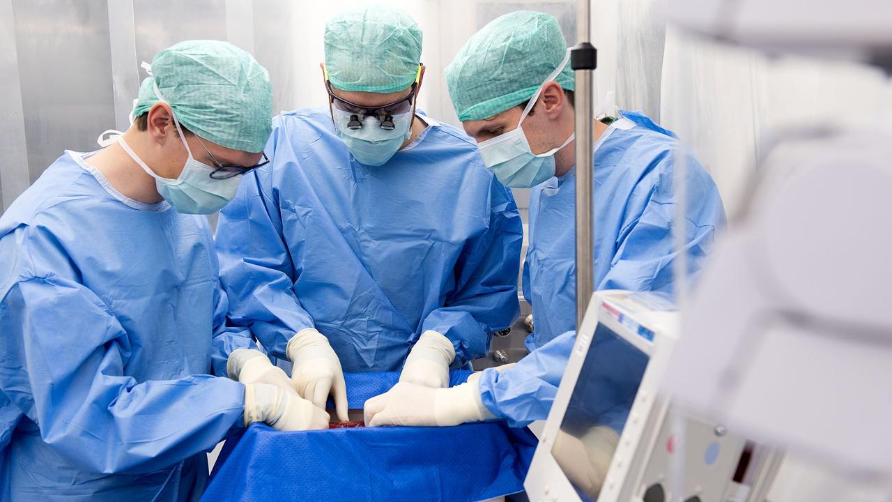 La première transplantation d'un organe de porc sur un être humain a été réalisée le mois dernier dans un hôpital de New York. (image d'illustration) [Centre Wyss - Universitätsspital Zürich]