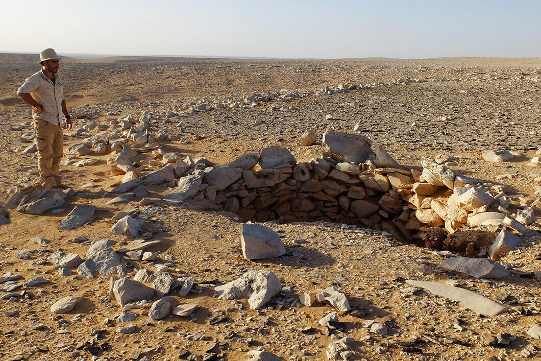 L'archéologue Wael Abu-Azizeh observe une fosse excavée du desert kite jordanien. Au nombre d'une dizaine dans le cas des enclos de la région, ces fosses, dont la paroi interne était renforcée par un parement de pierres, étaient creusées parfois jusqu'à deux mètres sous la surface. [CNRS - SEBAP & O. Barge]