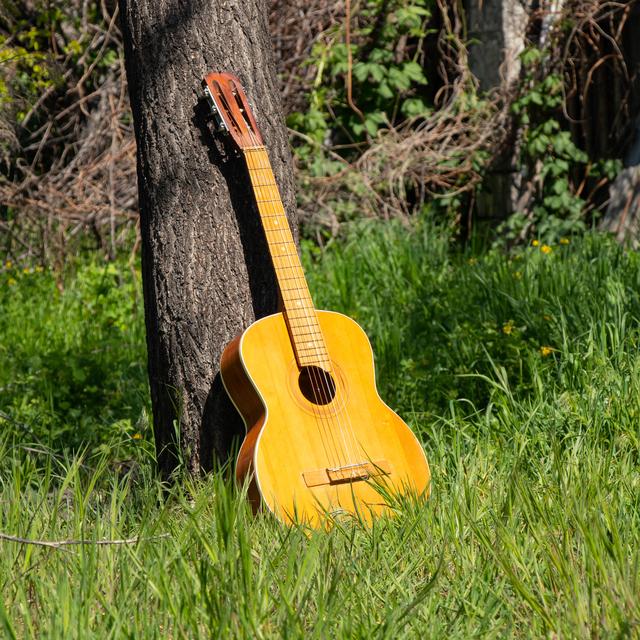 Guitare brune en bois se trouve dans les fleurs sauvages au printemps en Ukraine. [Depositphotos - ©vikabest88@gmail.com]
