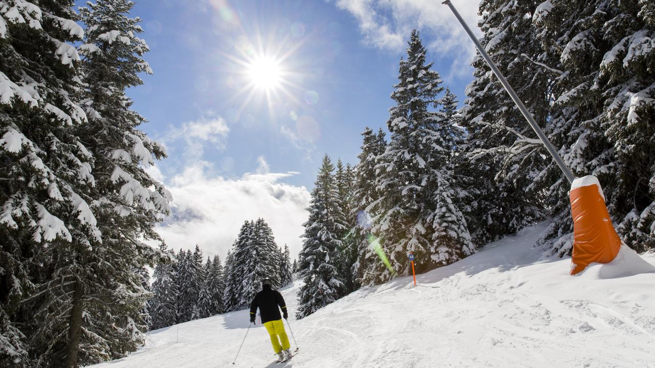 Pro Natura s'oppose aux canons à neige à Leysin-Les Mosses. [Keystone - Cyril Zingaro]