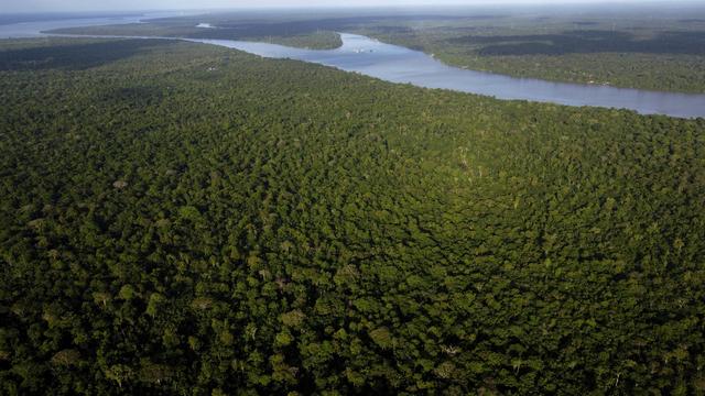 Vue sur la forêt de l'île de Combu, sur les rives du fleuve Guama, près de la ville de Belém, État du Para, au Brésil. [keystone - Eraldo Peres]