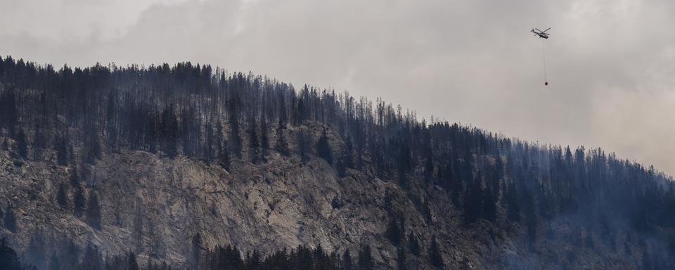 Un hélicoptère Super Puma verse de l'eau pour éteindre la forêt en feu au-dessus des communes de Bitsch. [Keystone - Jean-Christophe Bott]