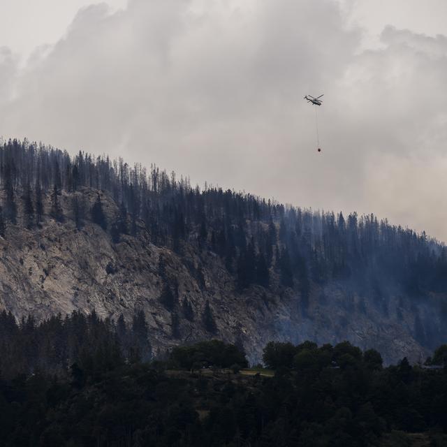 Un hélicoptère Super Puma verse de l'eau pour éteindre la forêt en feu au-dessus des communes de Bitsch. [Keystone - Jean-Christophe Bott]