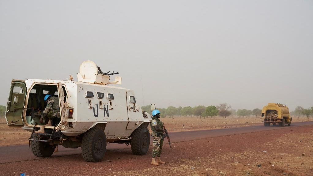 La Minusma a été créée en 2013 pour aider à stabiliser le Mali. [AFP - Michèle Cattani]