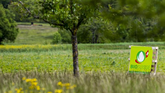 Un panneau BioSuisse dans un champs. [Keystone - Jean-Christophe Bott]