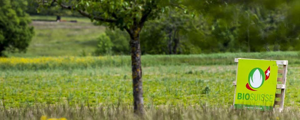 Un panneau BioSuisse dans un champs. [Keystone - Jean-Christophe Bott]