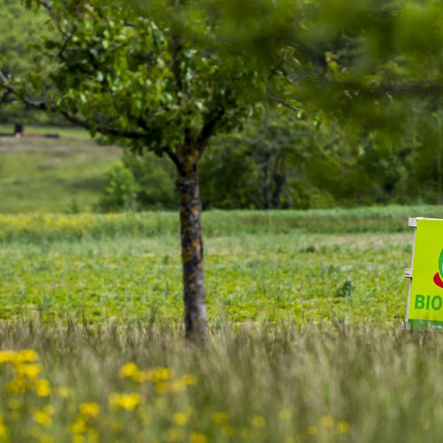 Un panneau BioSuisse dans un champs. [Keystone - Jean-Christophe Bott]