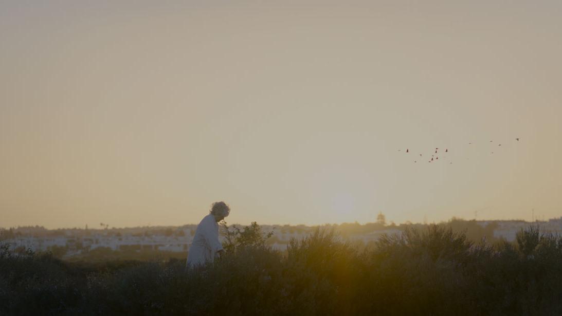 Une image du film "Le vent qui siffle dans les grues", un long métrage de Jeanne Waltz. [RTS - C.R.I.M Produções / Box Productions]