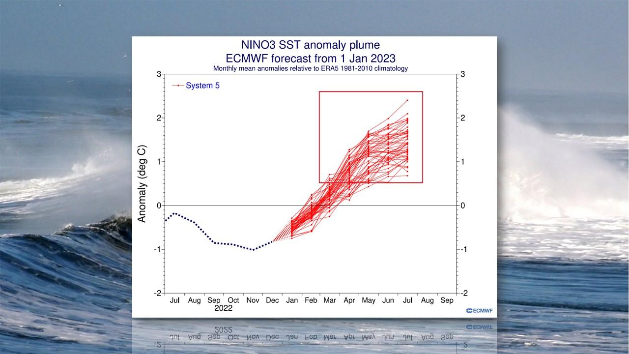 Principaux scénarios d'évolution des températures à la surface du Pacifique d'avril 2023 à septembre 2024. [ECMWF - Wikipedia]