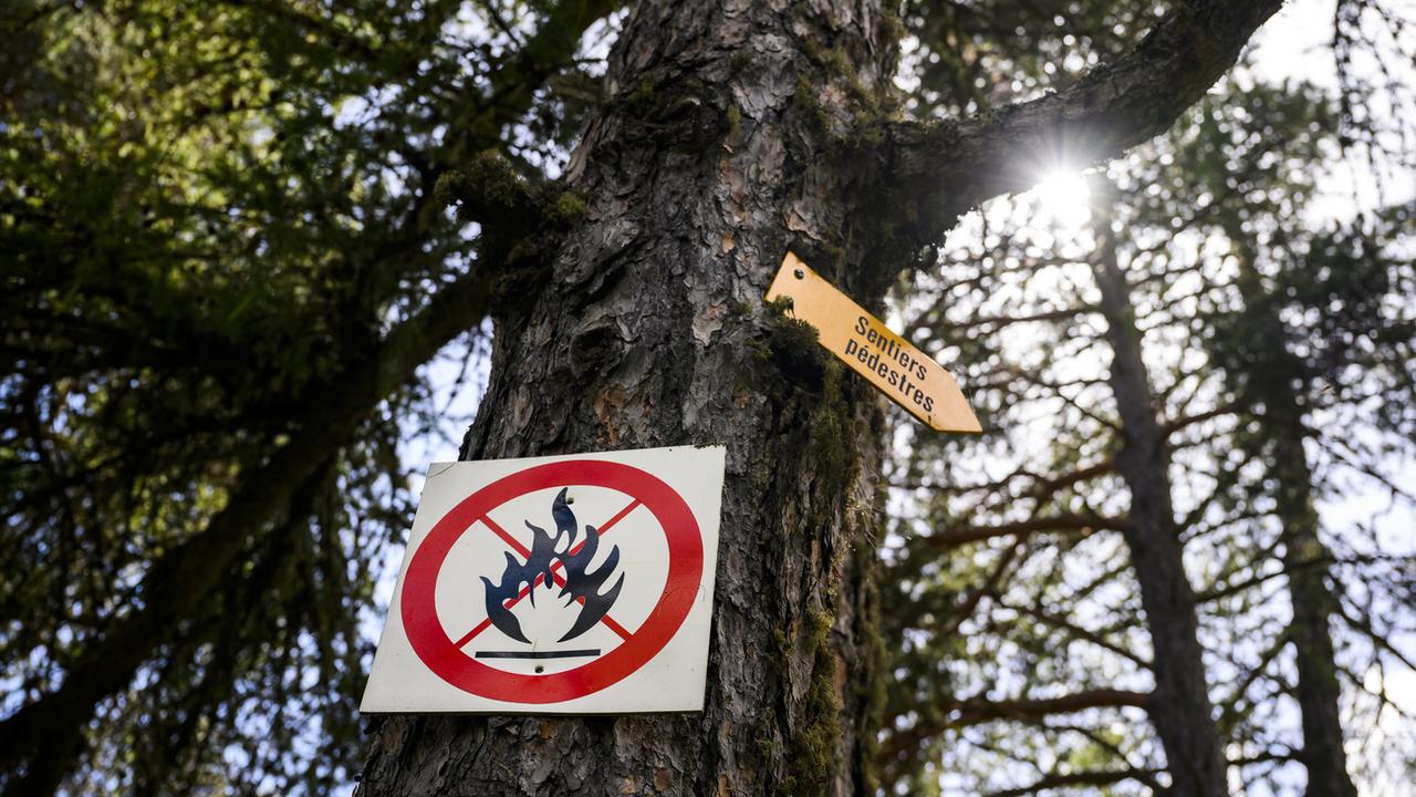 Vaud et Valais lèvent l'interdiction d'allumer des feux en forêt. [KEYSTONE - JEAN-CHRISTOPHE BOTT]