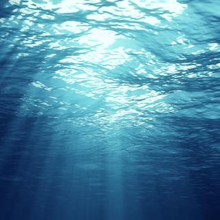 Sous l'océan (image d'illustration). [Depositphotos - vitacop]