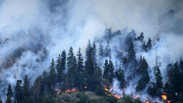 La forêt en proie aux flammes au-dessus des communes de Bitsch et Ried-Moerel (VS). [Keystone]