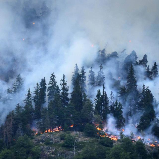 La forêt en proie aux flammes au-dessus des communes de Bitsch et Ried-Moerel (VS). [Keystone]