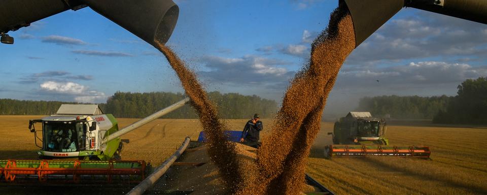 La récolte de blé dans un champ en Russie, le 8 septembre 2023. [Reuters - Alexey Malgavko]