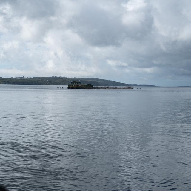 Les fiords de la pointe du continent sud-américain, tout comme ceux dʹIslande ou de Norvège, sont envahis par des fermes de saumon dʹélevage dont les impacts sont multiples comme par exemble la destruction des écosystèmes marins, l'usage massif dʹantibiotiques, le tout dans des conditions de travail déplorables. [RTS - Marion Esnault]