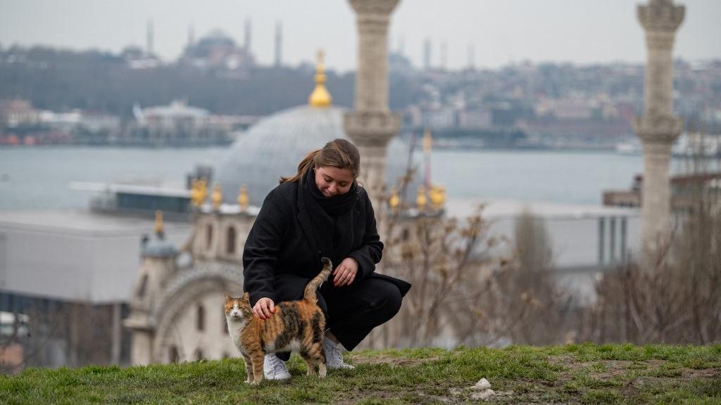 Comme Julie, arrrivée à Istanbul, de nombreux Russes ont fui leur pays au début du conflit. [AFP - Yasin Akgul]