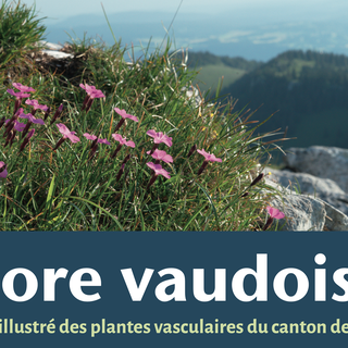 "Flore vaudoise: atlas illustré des plantes vasculaires du canton de Vaud" du Cercle vaudois de botanique (2023). [Cercle vaudois de botanique]