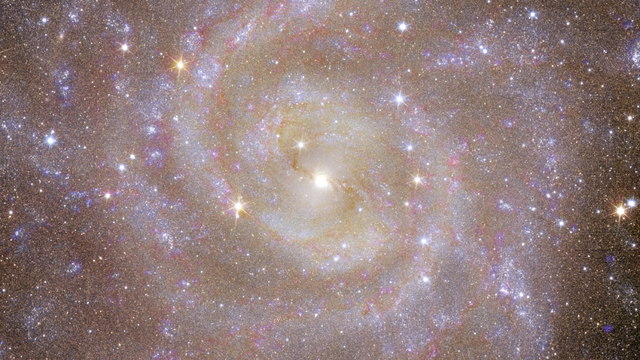 En tant que galaxie spirale, IC 342 est considérée comme un sosie de la Voie lactée. [ESA/Euclid/Euclid Consortium/NASA - J.-C. Cuillandre (CEA Paris-Saclay), G. Anselmi; CC BY-SA 3.0 IGO]