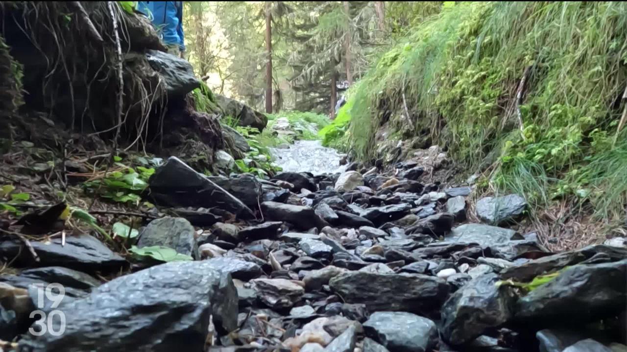 Le canton du Valais réhabilite deux anciens bisses à l’abandon dans le Val d'Anniviers pour faire face aux sécheresses