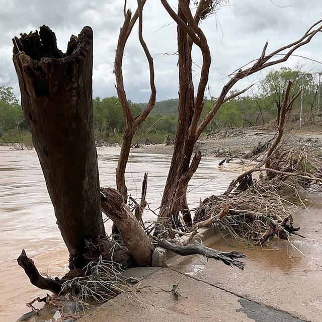 Une tempête le soir de Noël a tué une femme dans l'est de l'Australie, ont annoncé mardi les autorités. Environ 120'000 foyers sont privés d'électricité. [afp - QUEENSLAND POLICE SERVICE]