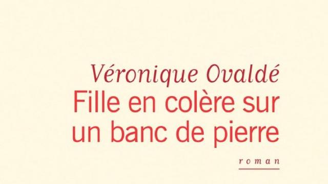 La couverture du livre de Véronique Ovaldé, "Fille en colère sur un banc de pierre". [Flammarion]