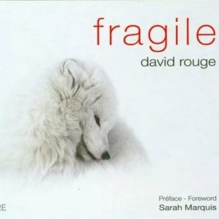 La couverture de l'ouvrage de David Rouge "Fragile" paru aux éditions Favre en 2023. [davidrouge.com - davidrouge.com]