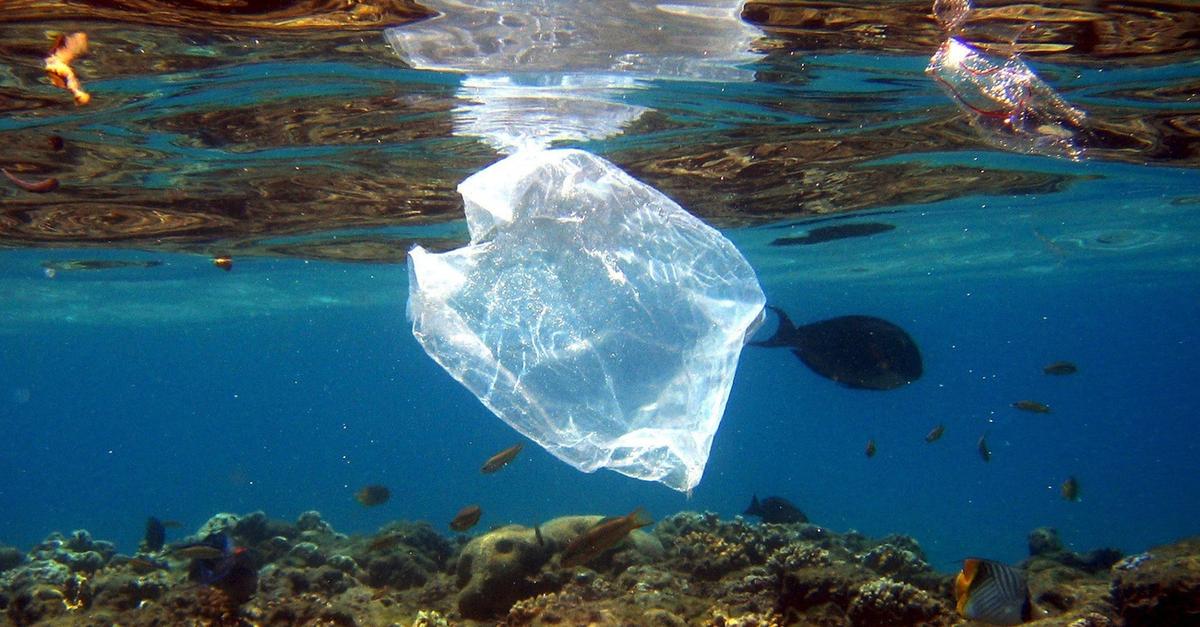 La Méditerranée est la mer où l'on retrouve le plus de déchets plastiques -   - Monde