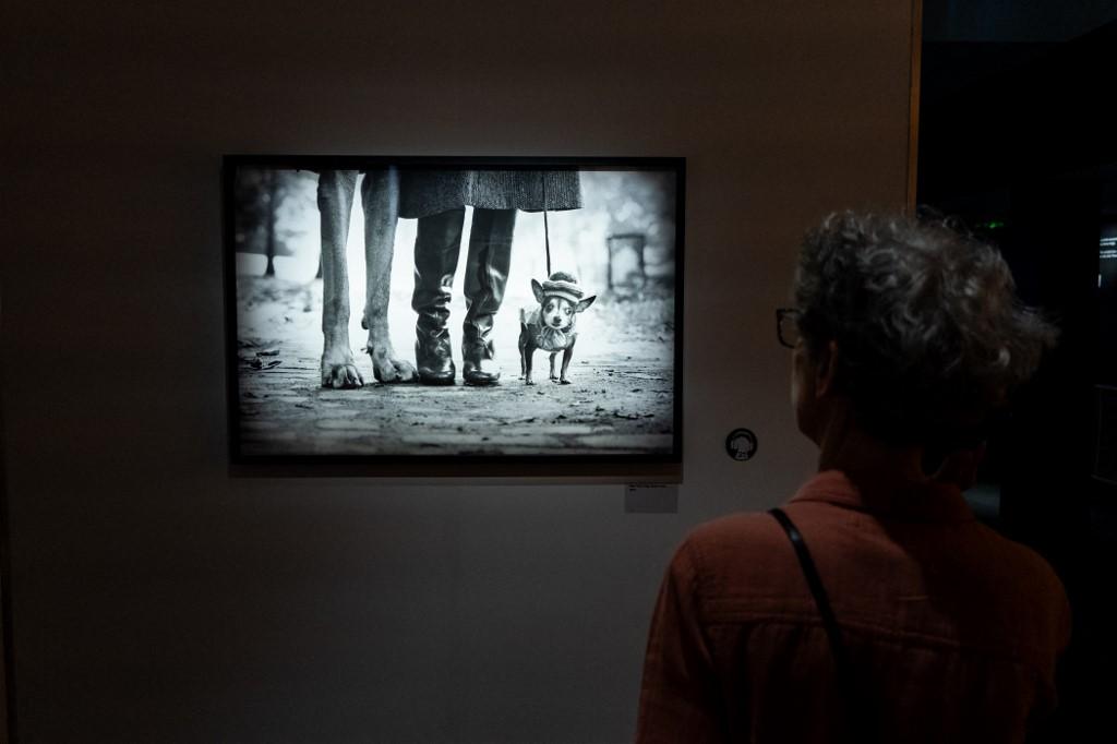 Une des fameuses photographies de l'Américain Elliott Erwitt, présentée au dans une exposition au musée Maillol à Paris, en juillet 2023. [AFP - Nicolas Liponne/Hans Lucas]