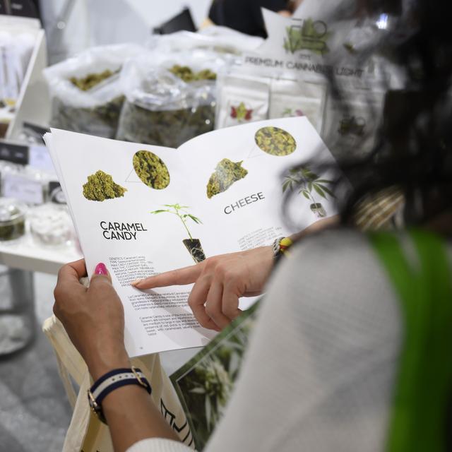 Les fumeurs de cannabis de plus de 18 ans pourront prendre part à l'essai de commercialisation de cette drogue dans le canton de Berne dès l'automne (image d'illustration). [Keystone - Anthony Anex]