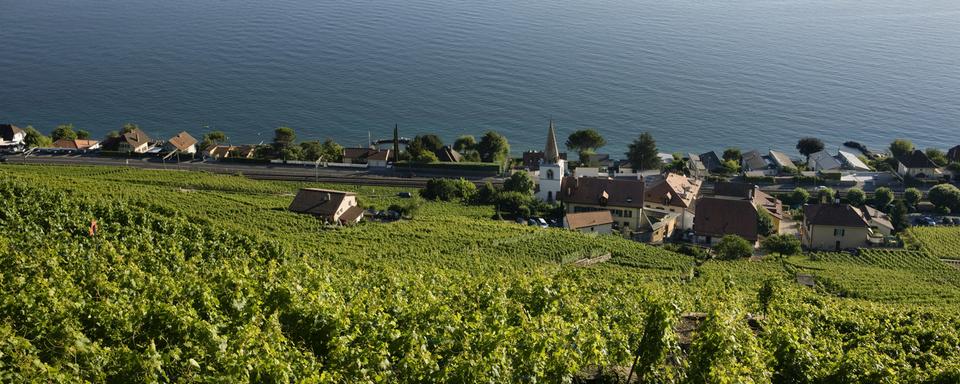 Région de Lavaux. [Keystone - ©Martin Ruetschi]