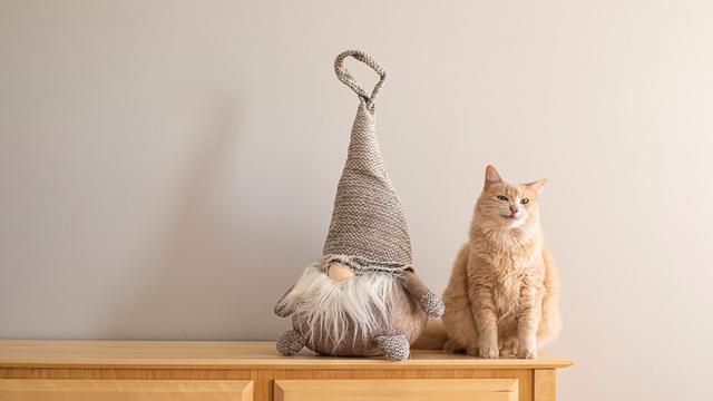 Un chat roux pose sur une étagère à côté d'une poupée de nain de jardin. [Depositphotos - Erda Estremera]