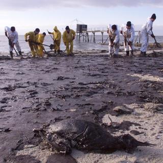 Début janvier 2000, une équipe enlève la matière collante à base de pétrole qui pollue l'écosystème marin des côtes atlantiques de la France après l'accident du pétrolier Erika [Keystone/AP Photo - Franck Prevel]
