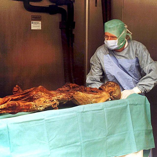 La momie d'Ötzi, vieille de 5'300 ans, peu après son arrivée au musée d'archéologie de Bolzano, le 16 janvier 1998. Il s'agit d'un chasseur dont le corps congelé a été découvert en 1991 dans les Alpes, à la frontière italo-autrichienne. Ötzi a été tué par une flèche dont la pointe s'est fichée sous son épaule gauche. La momie a été découverte par deux alpinistes dans un glacier des Alpes tyroliennes en 1991. [KEYSTONE/AP Photo/STR]