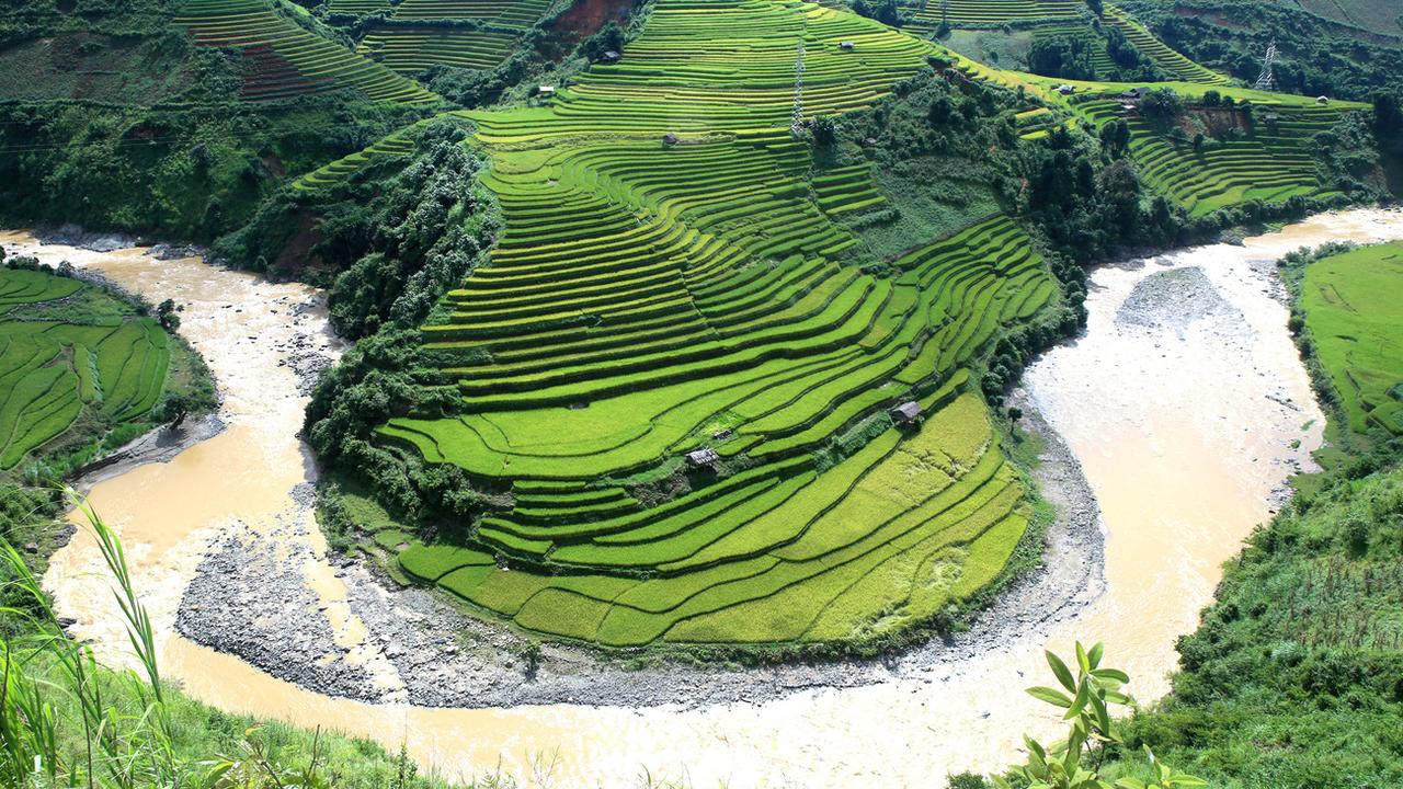 Des rizières en terrasse dans le district de Mu Cang Chai au Vietnam en 2015. [Keystone/AP - Hau Dinh]
